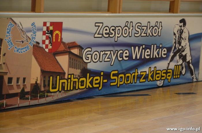 Wielkopolskie Igrzyska Młodzieży Szkolnej