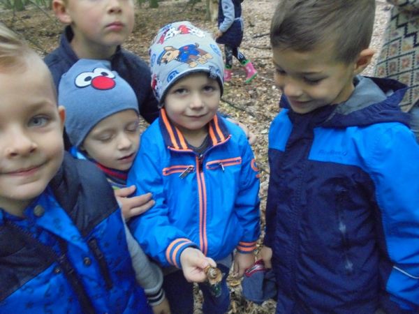 Wycieczka do lasu przedszkolak&oacute;w z Biniewa