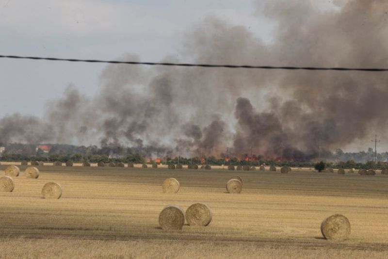 Pożar zboża na pniu w Sobótce. 11 zastępów i samolot walczy z ogniem